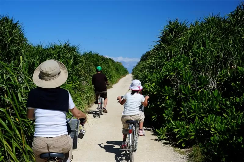 沖縄でサイクリングをする家族