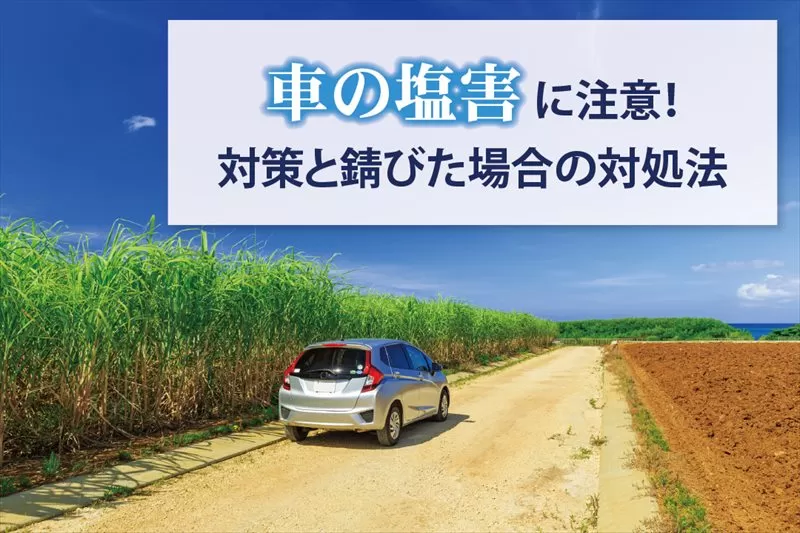 車の塩害に注意！対策と錆びた場合の対処法