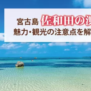 日本の渚100選にも選ばれた佐和田の浜！魅力や周辺の観光スポットを紹介のサムネイル