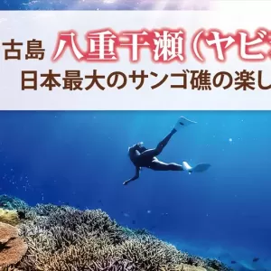 八重干瀬（ヤビジ）とは？日本最大のサンゴ礁を最大限楽しむ方法！のサムネイル