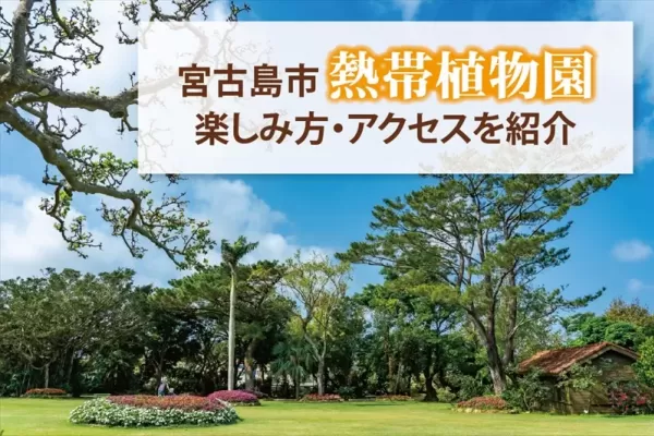宮古島市熱帯植物園ってどんな場所？楽しみ方や周辺施設、アクセスもご紹介