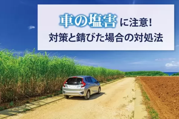 車の塩害に注意すべき理由とは？おすすめの対策や錆びた後の対処法をご紹介